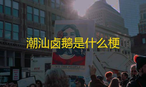 暗区突围物资透视挂免费不封号潮汕卤鹅是什么梗